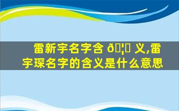 雷新宇名字含 🦊 义,雷宇琛名字的含义是什么意思